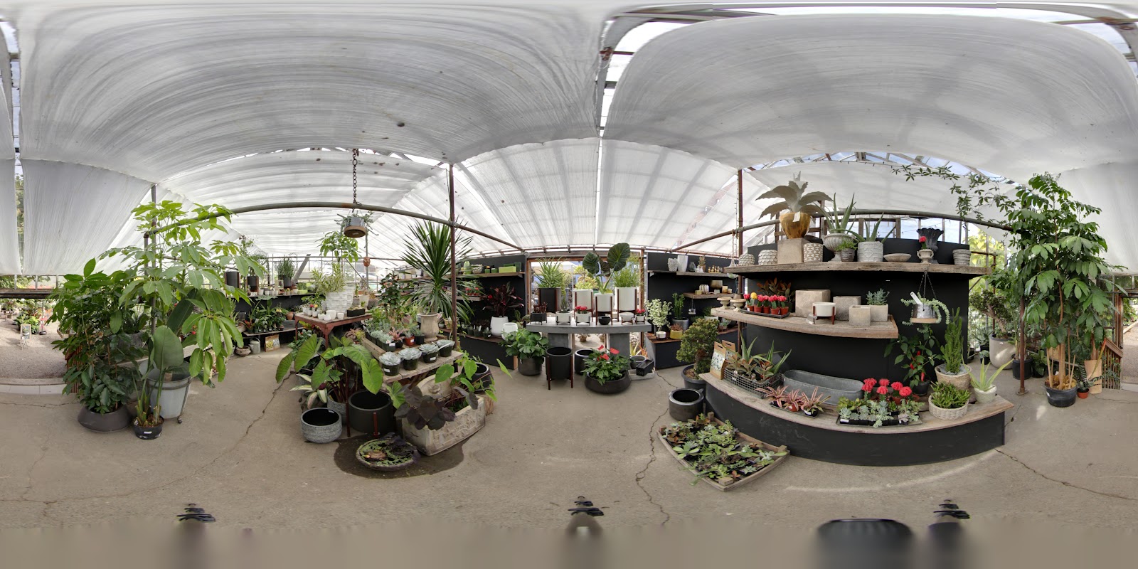 Pomarius Nursery