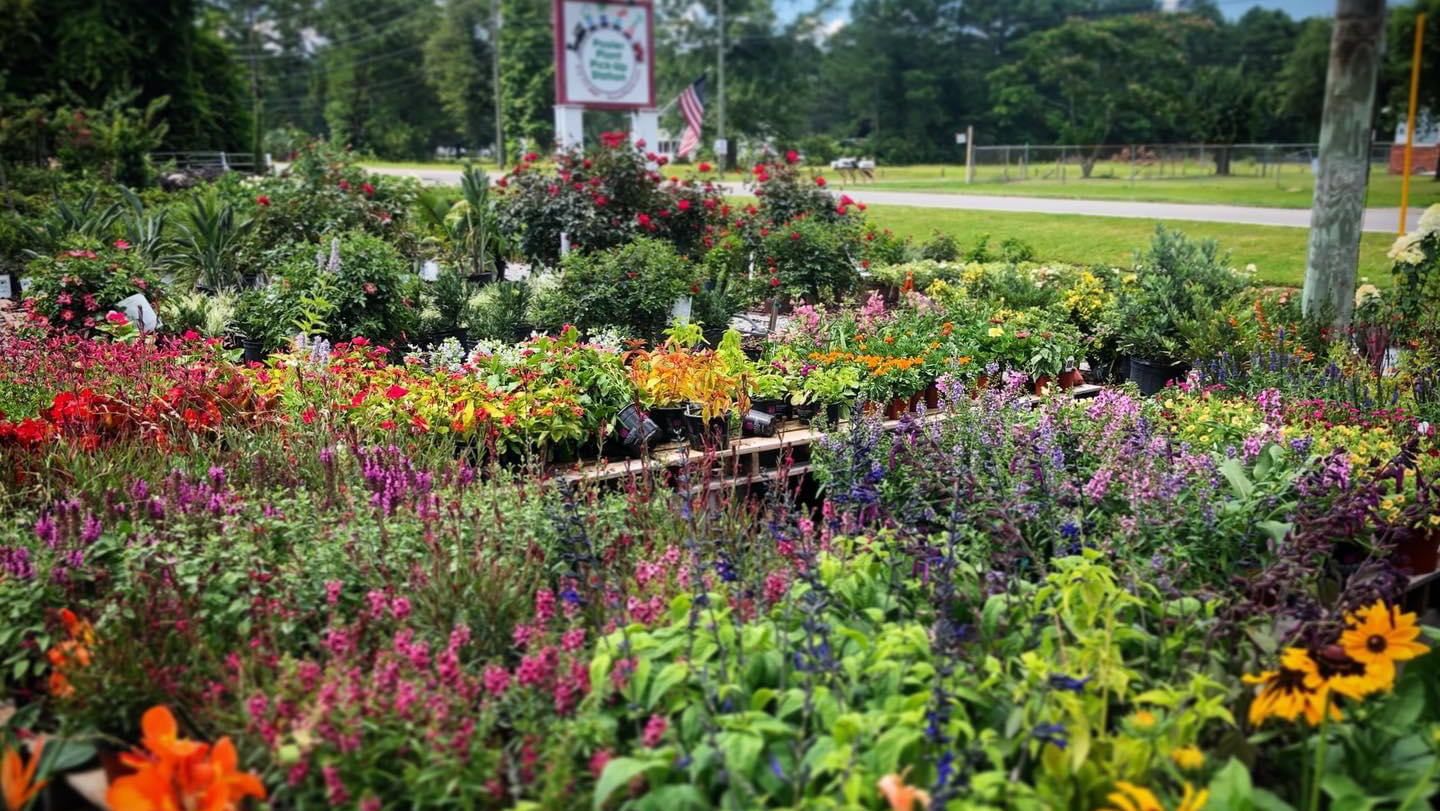 Pooler Plant Pick-up Station