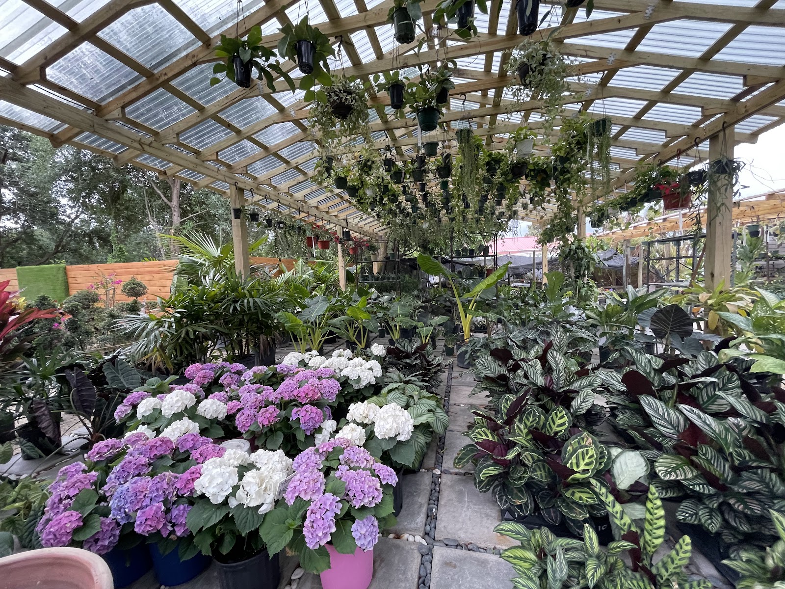 Pop's Nursery (Plants, Palms, Decorative Stones, Sand, Soil, Gravel)