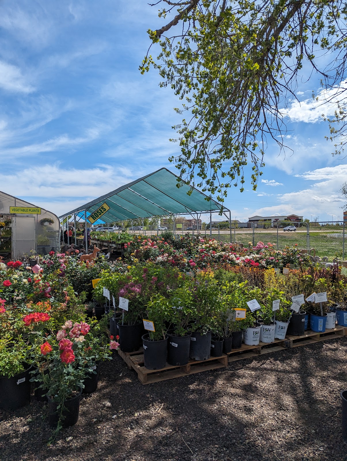 Pope Farms Produce & Garden Center