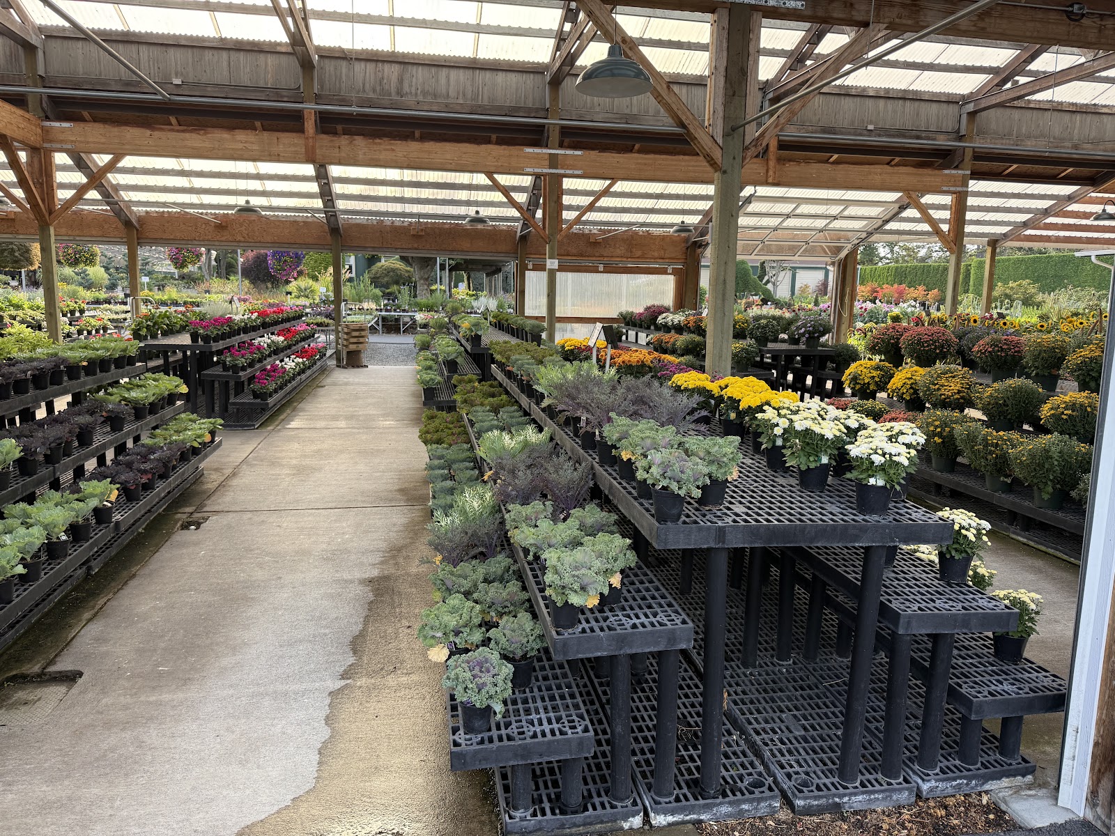 Portland Avenue Nursery