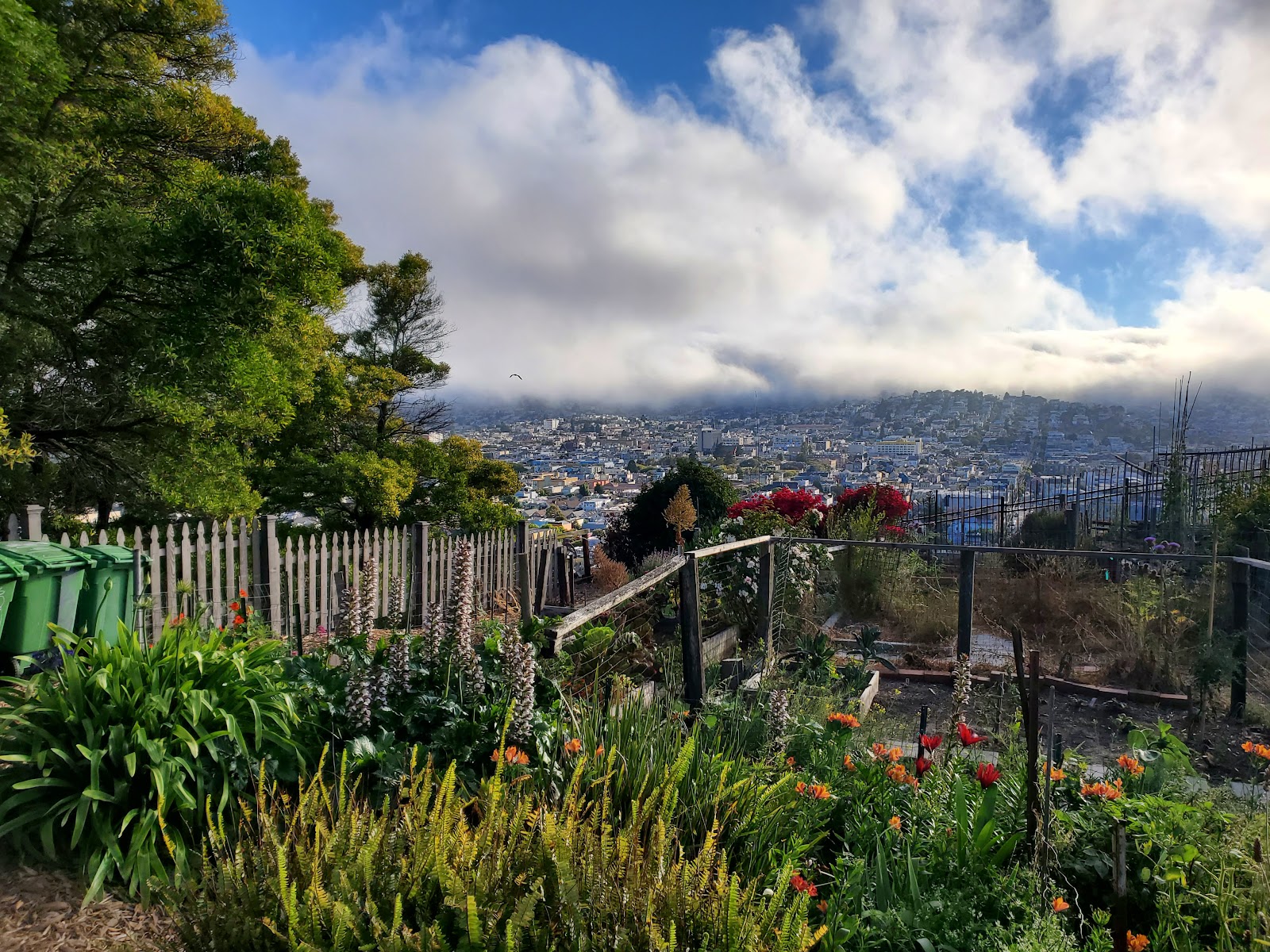 Potrero Hill Community Garden
