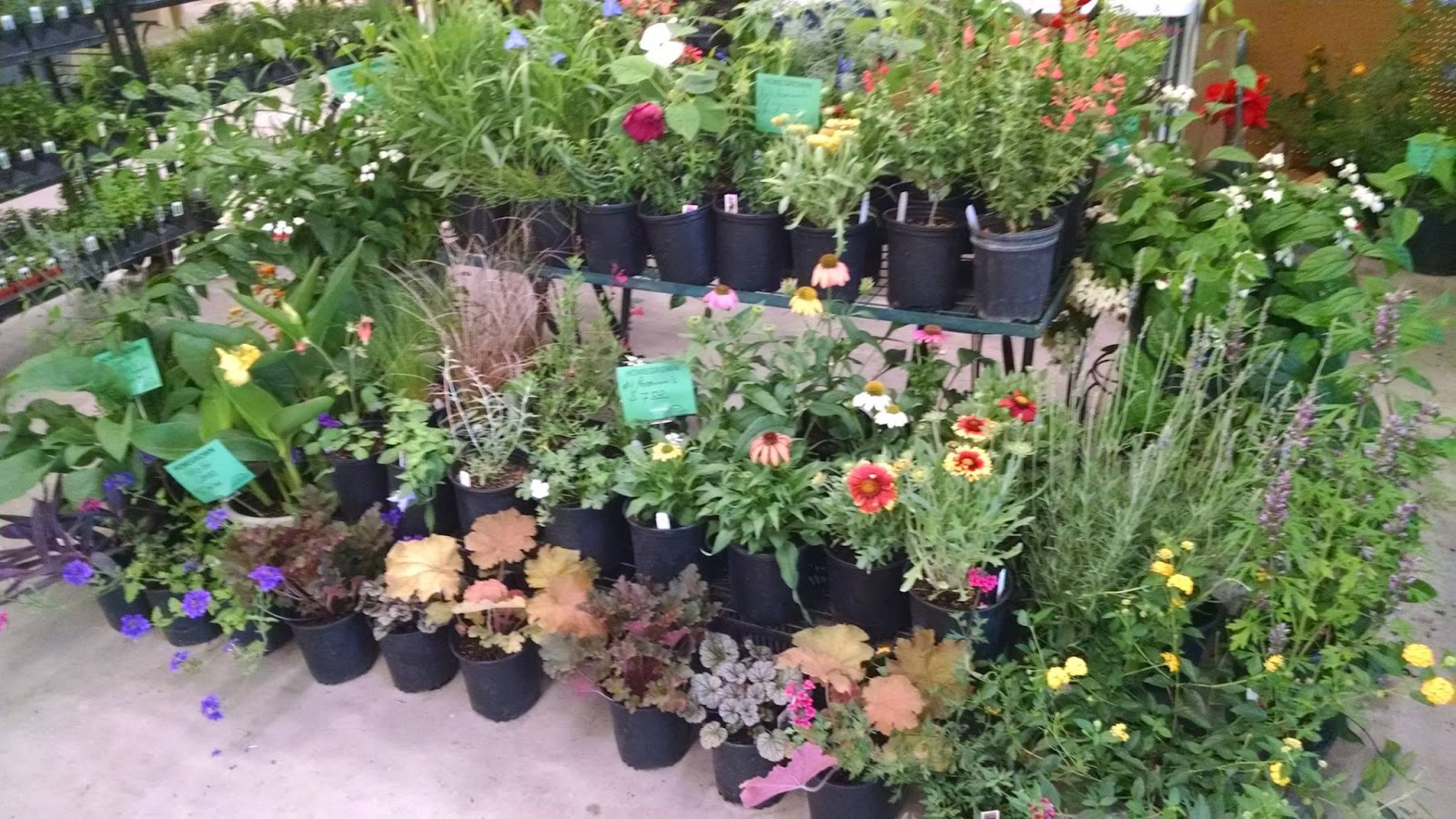Prairie Wind Nursery