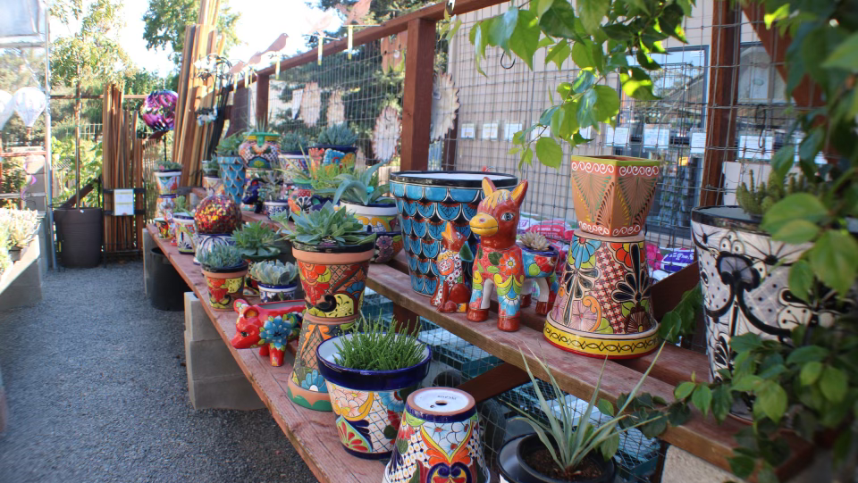 Prickett's Nursery Santa Rosa