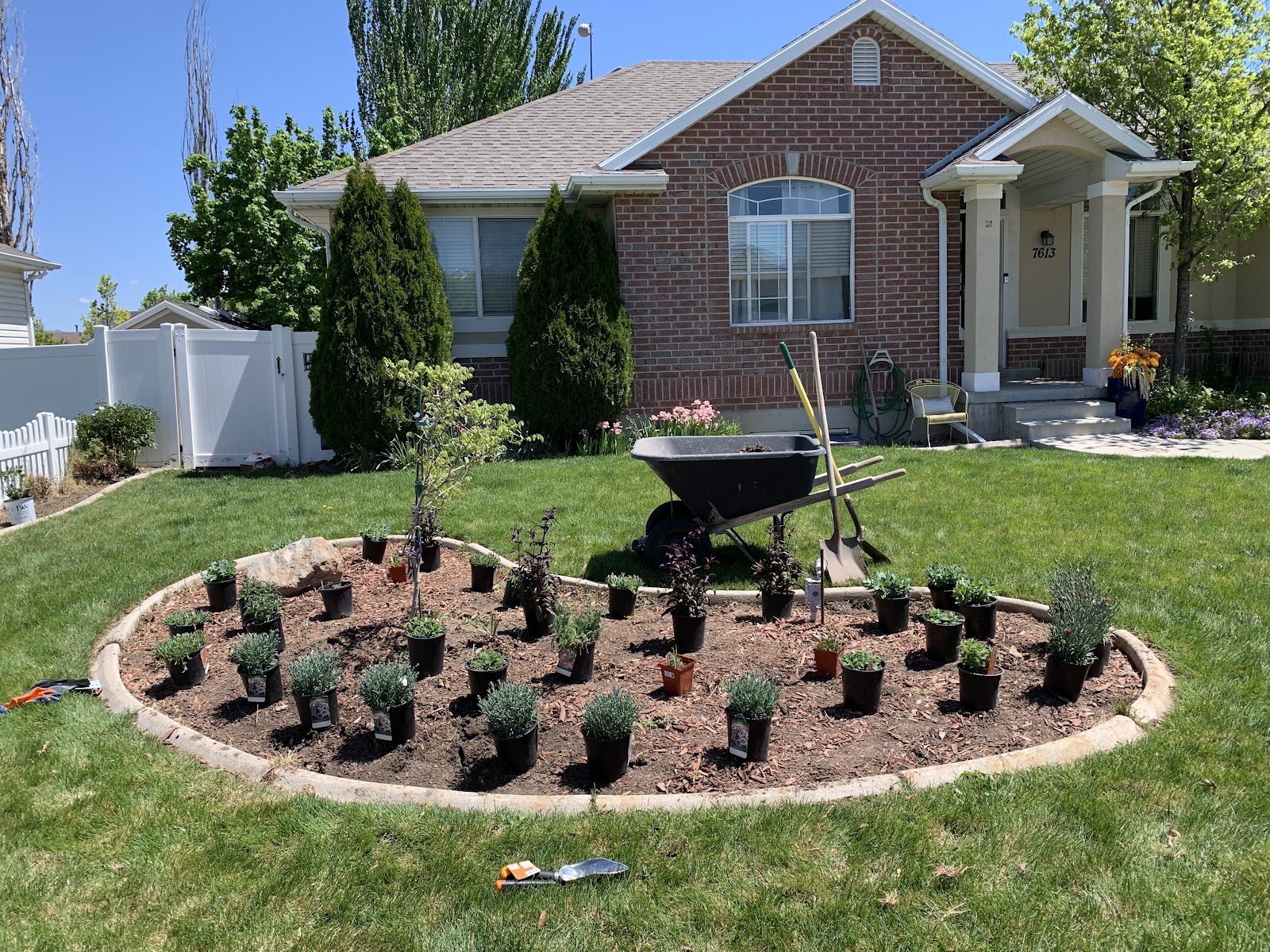Progressive Plants