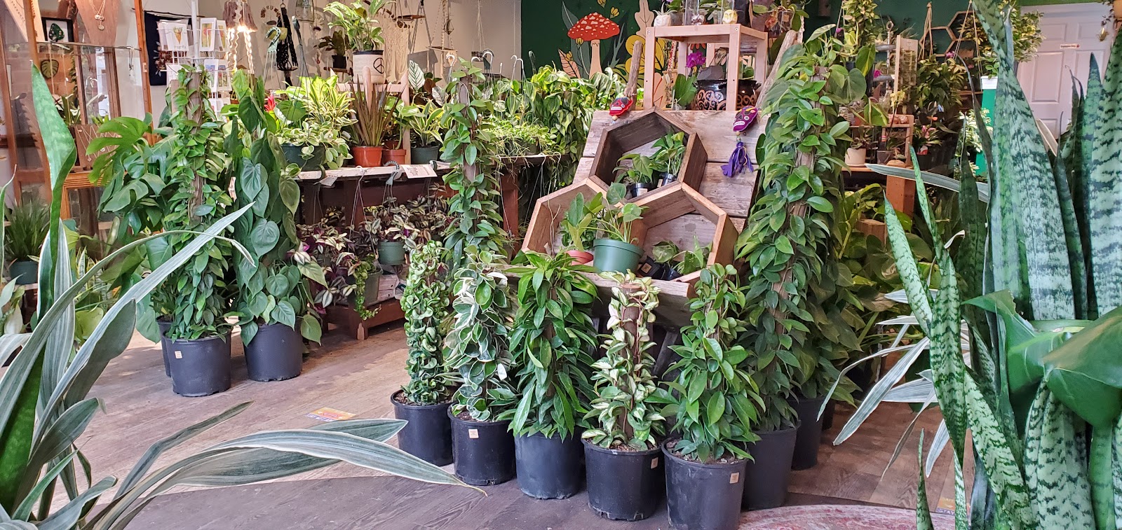 Put a Plant On It