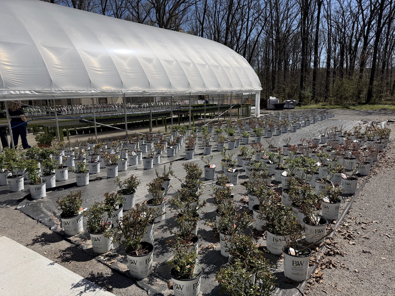 Quail Valley Farms LLC