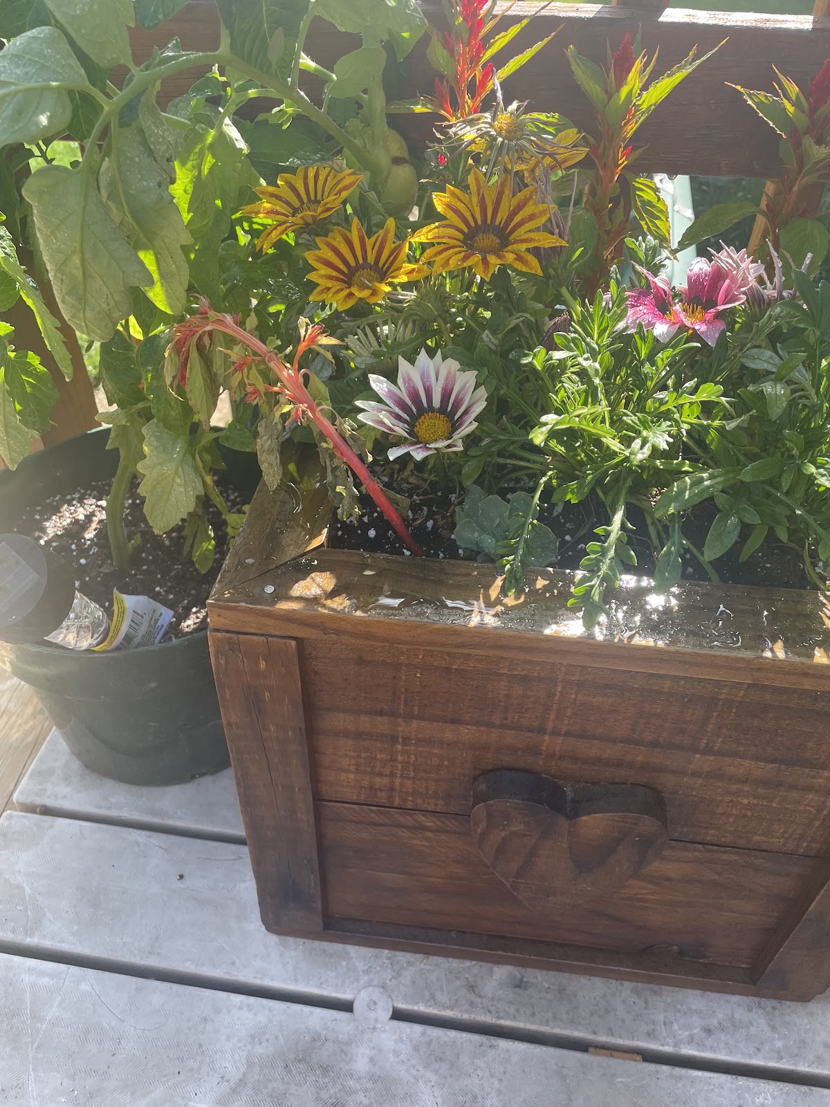 Railside Greenhouse