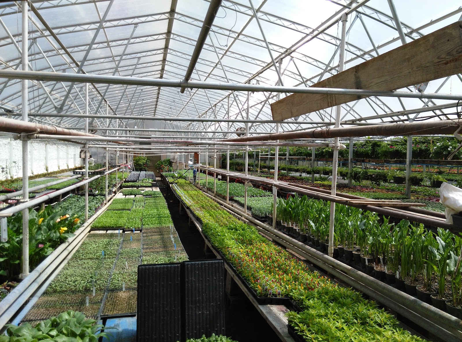 Railside Greenhouse