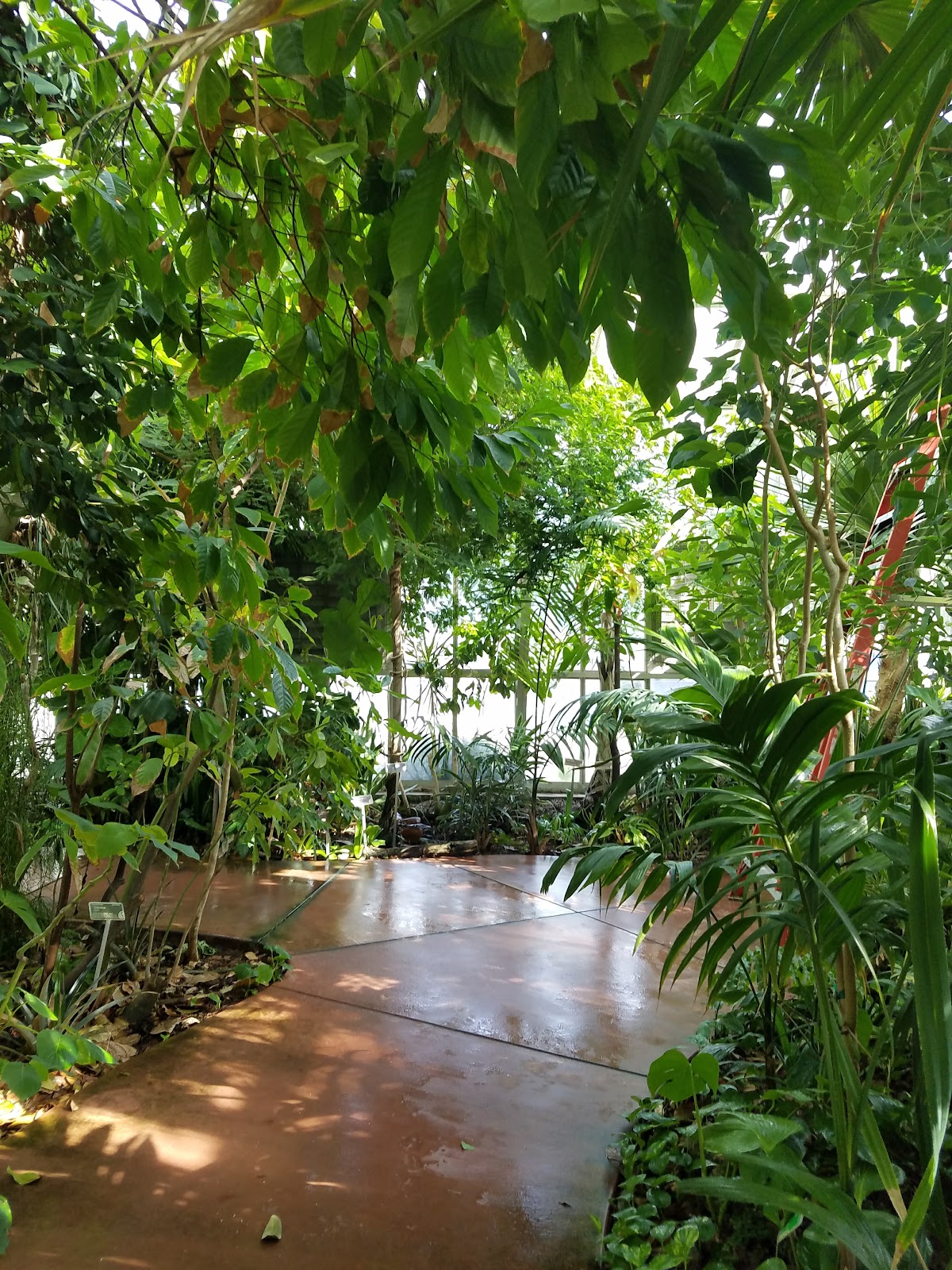 Rain Bird BioTrek