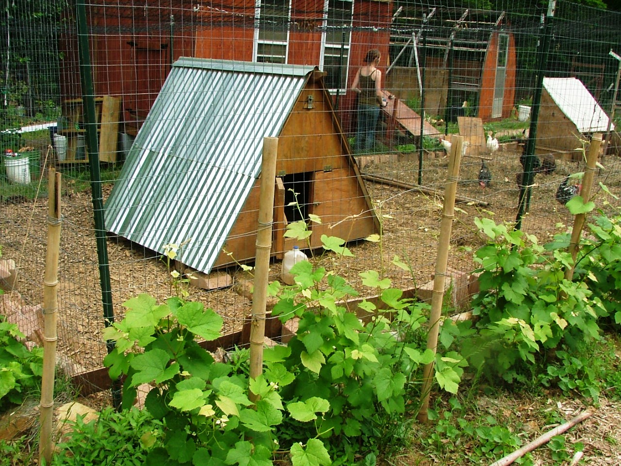 Randolph College Organic Garden