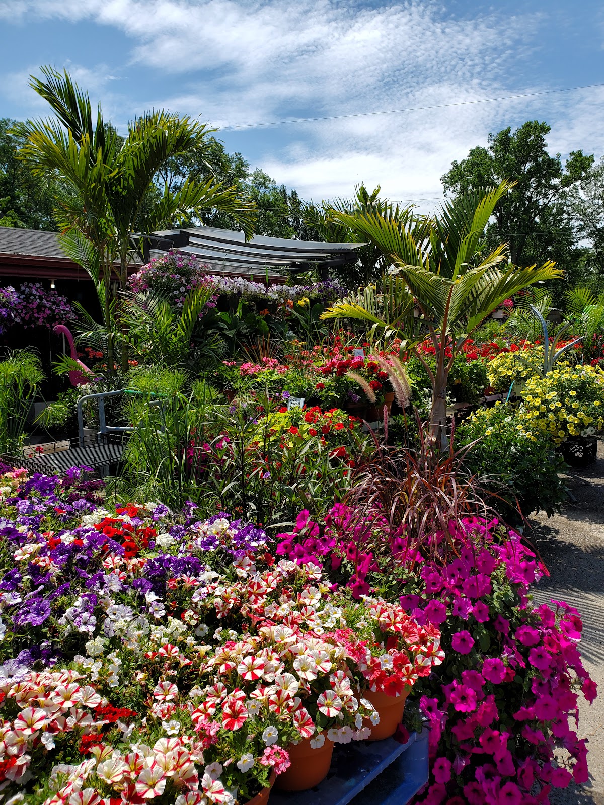Randy's Farm Market-Greenhouse