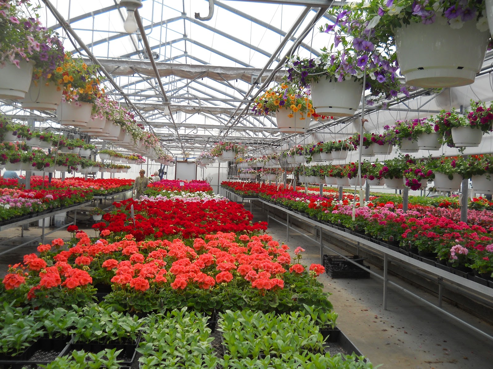 Ray's Greenhouse
