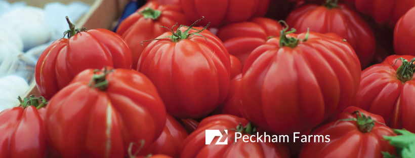 Revolution Farms by Peckham