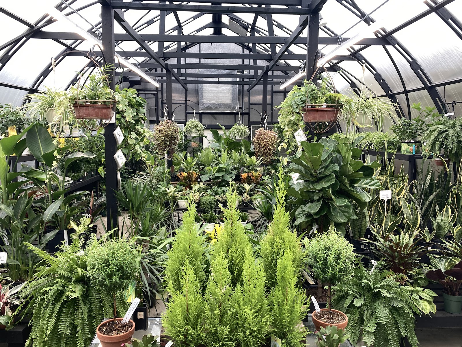 Reynolds Farms Nursery and Country Garden Center