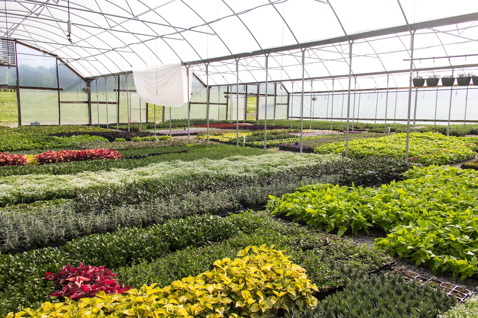 Riverbend Nurseries