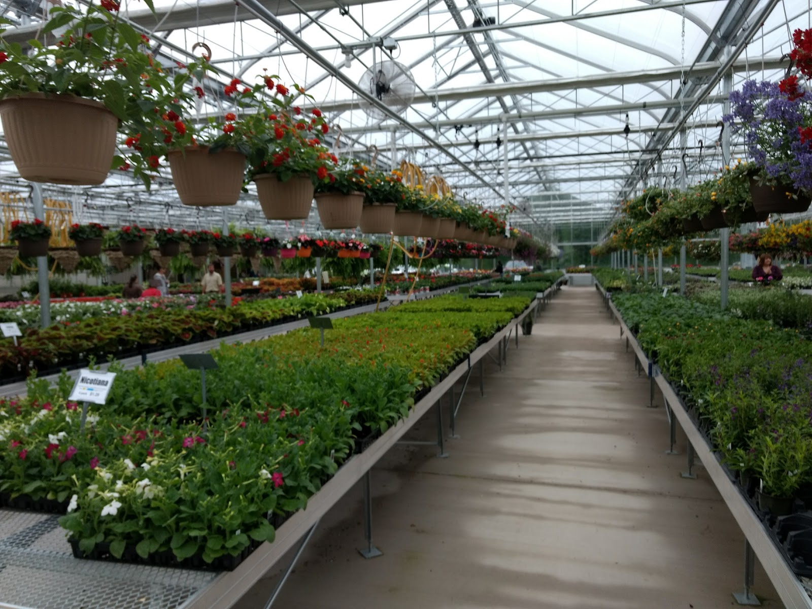 Riverside Greenhouse