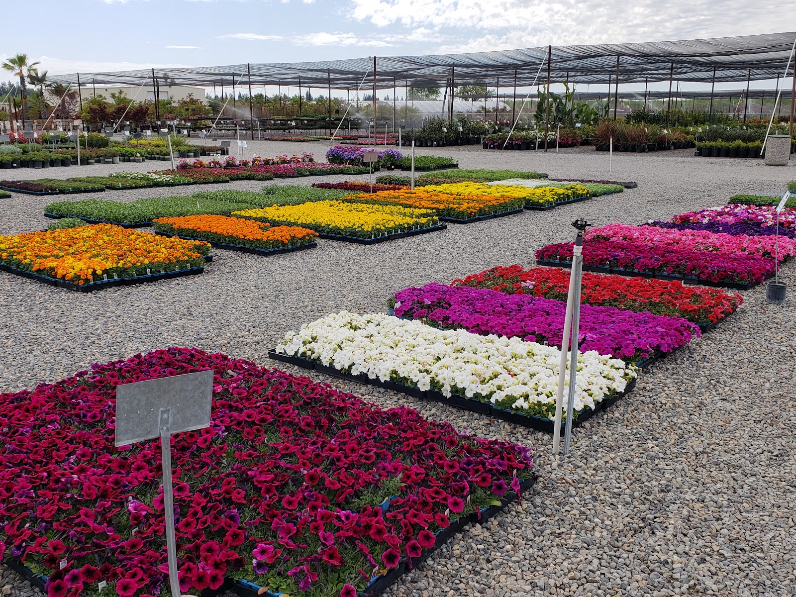 Riverside Nursery and Landscape