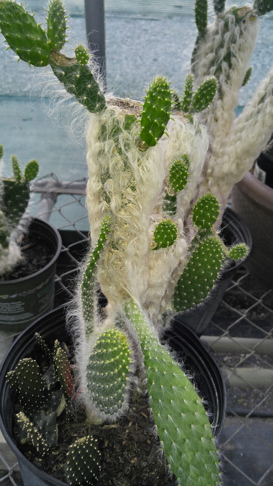 Riverview Flower Farm Inc