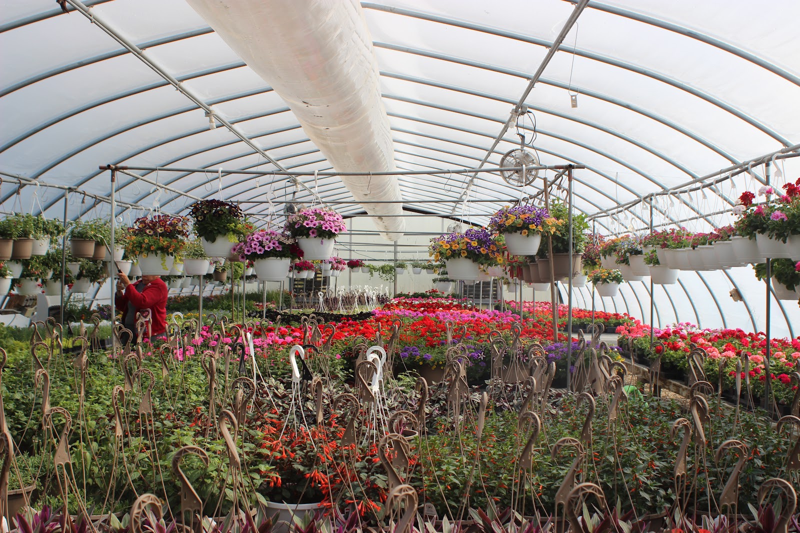 Robran's Greenhouse