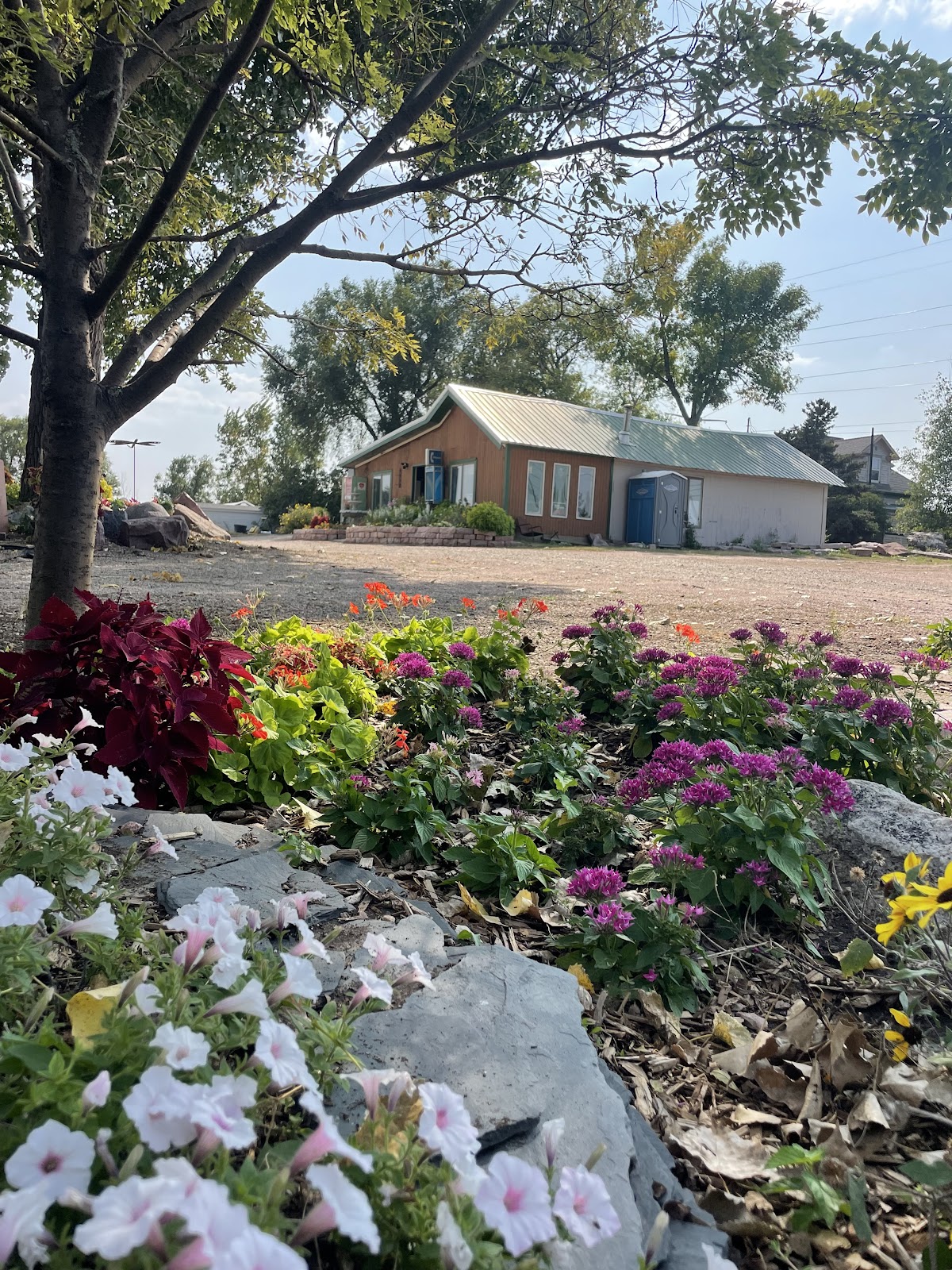 Rock Garden Nursery