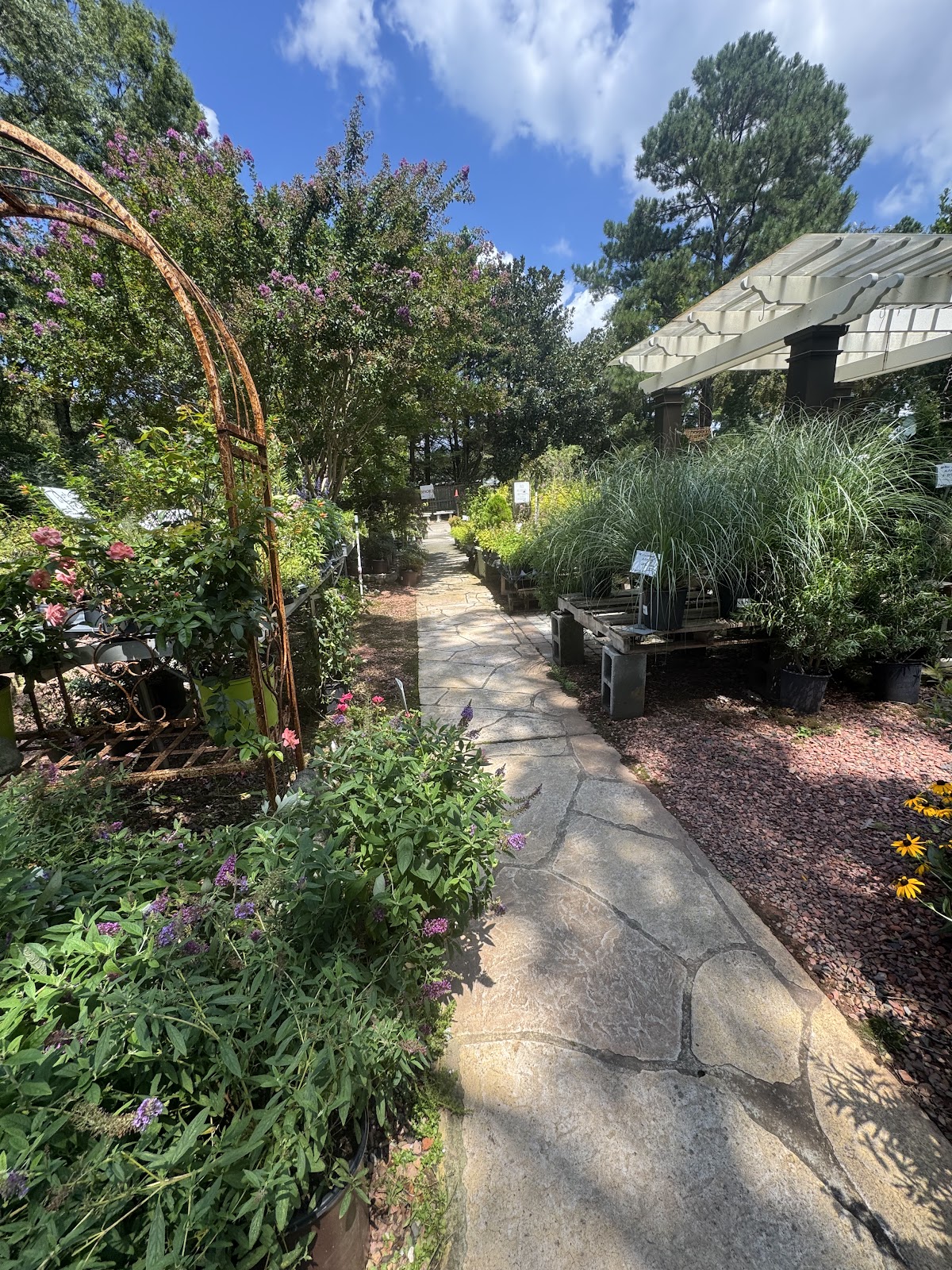 Rockett's Bug Juice Gardens