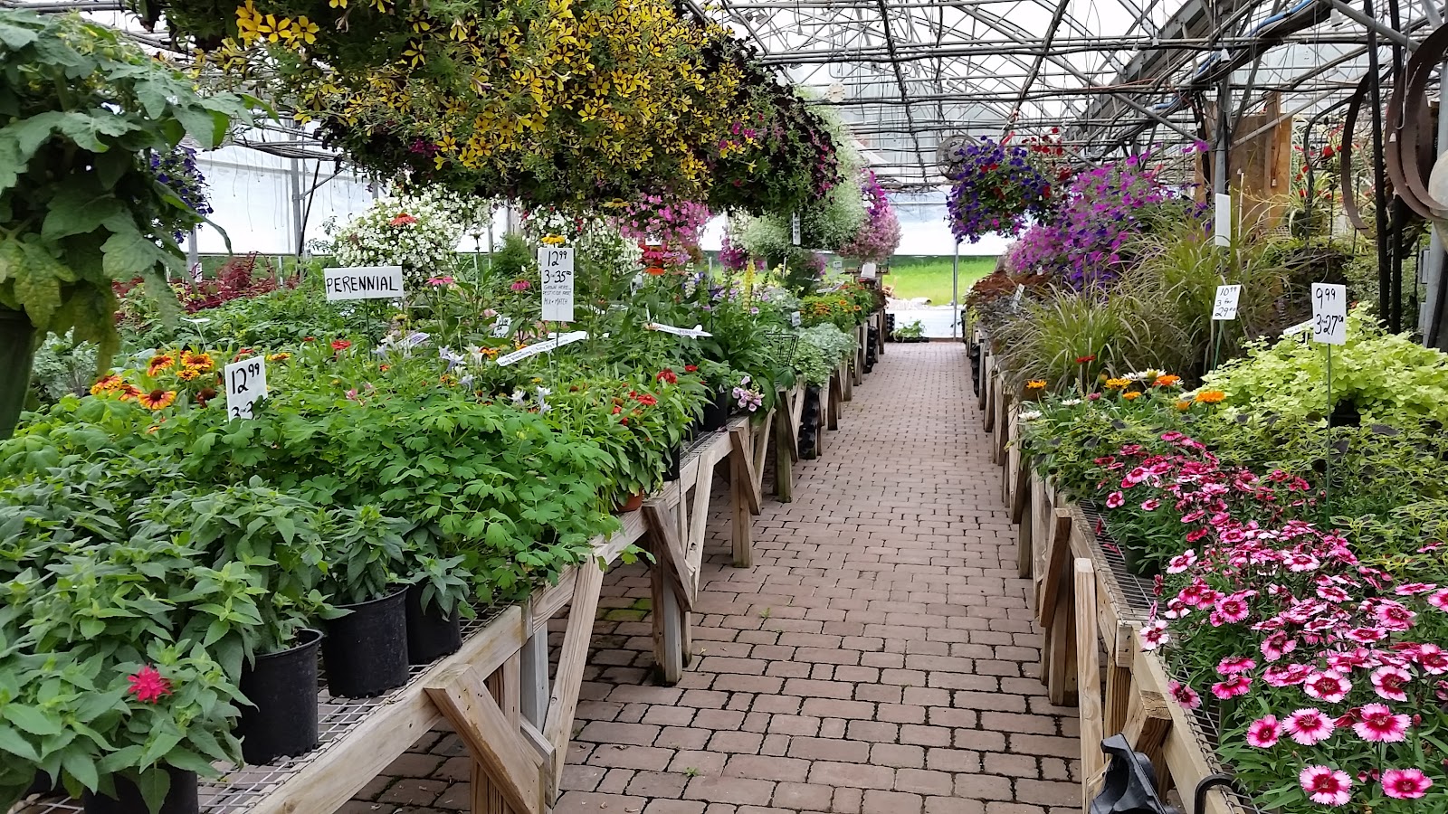 Rockingham Acres Greenhouse