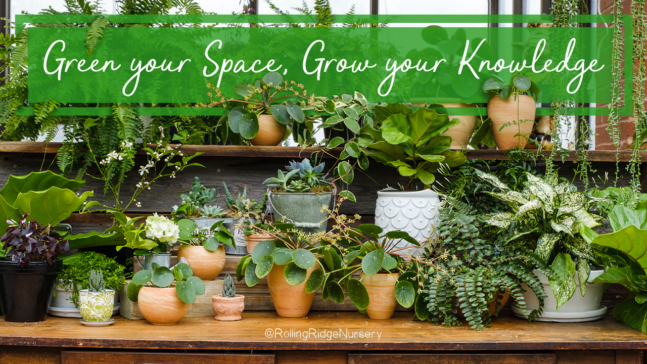 Rolling Ridge Nursery Inc