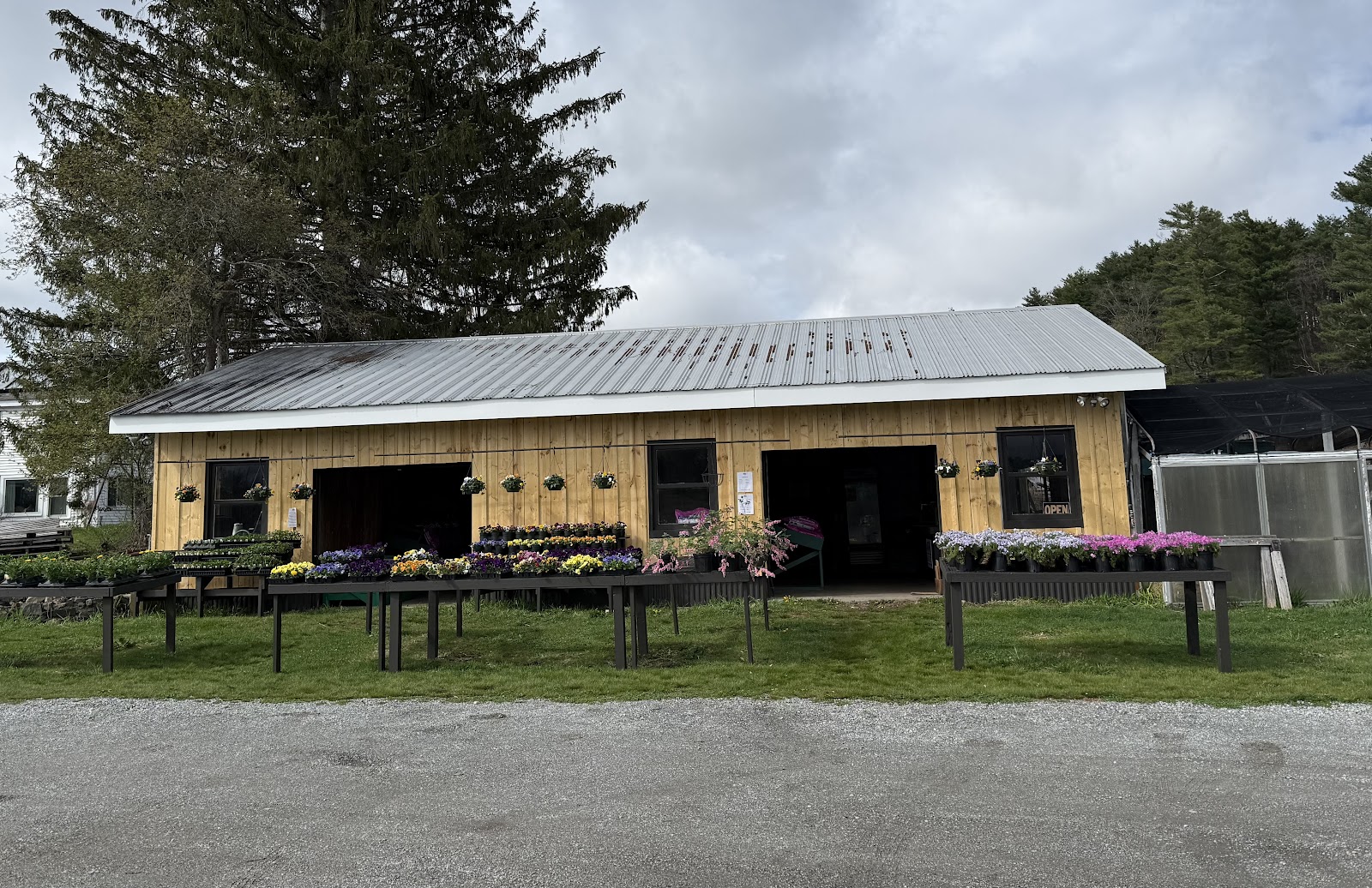 Rooted Brigham Greenhouses