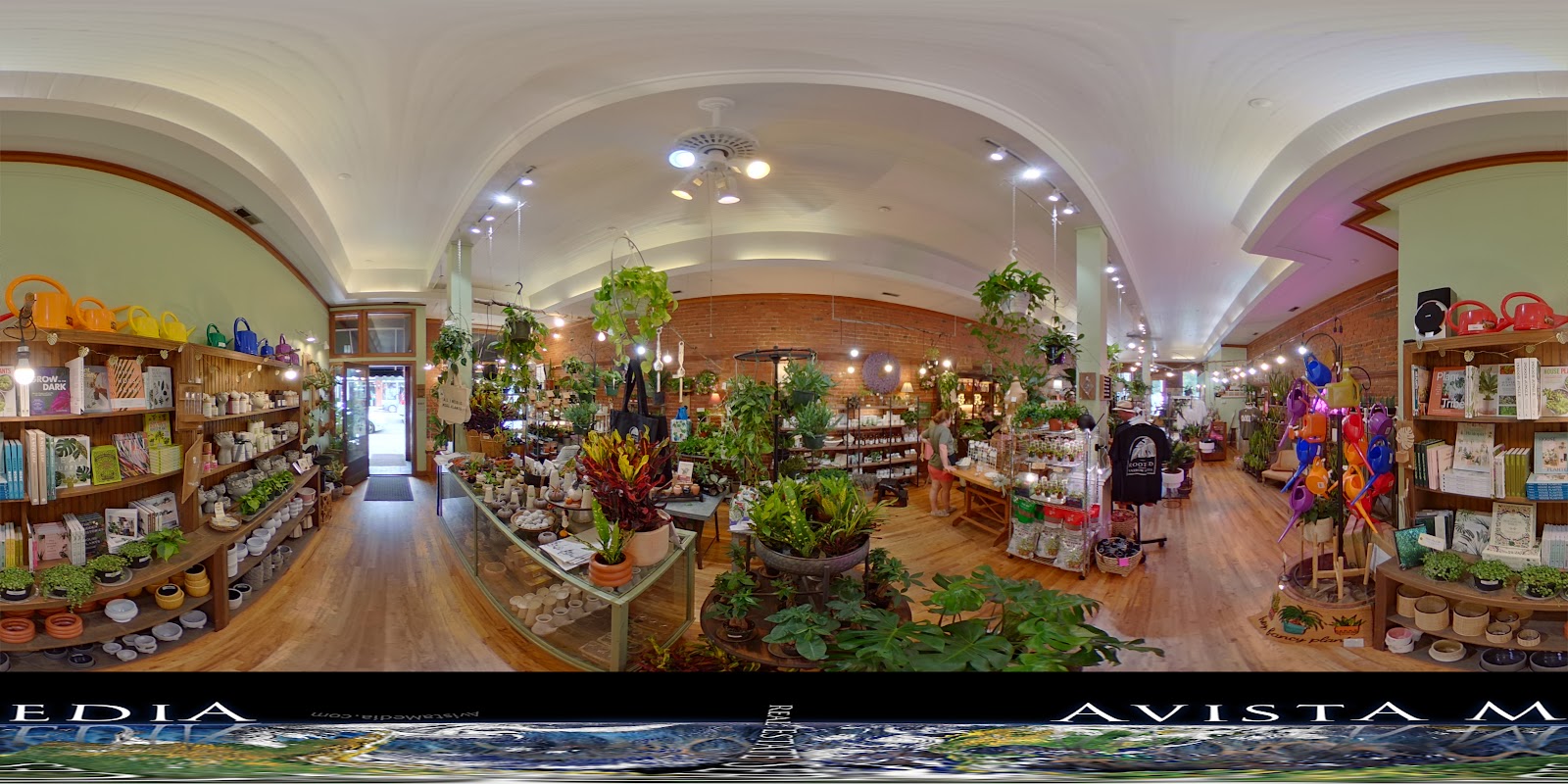 Rooted from Yarrow Acres "Franklin's Little Plant Shop"