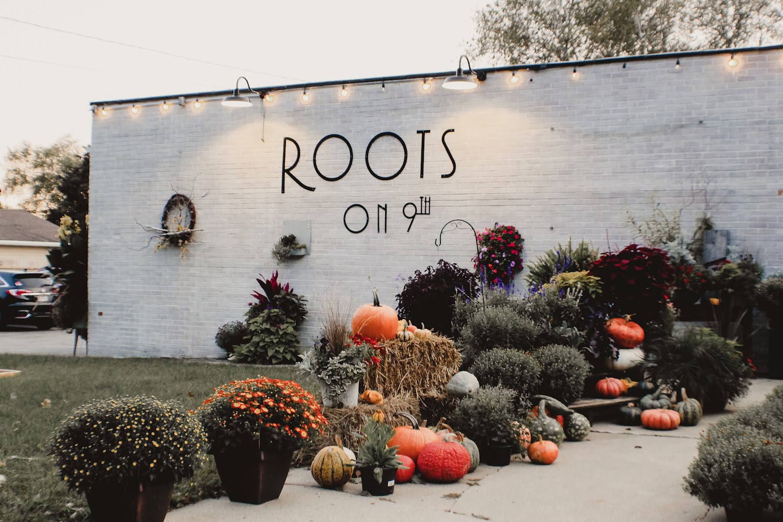 Roots On 9th
