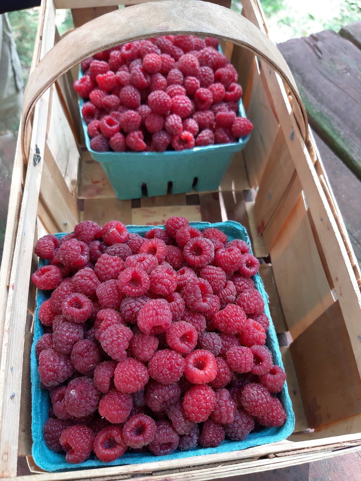 Rosby Greenhouse and Berry Farm