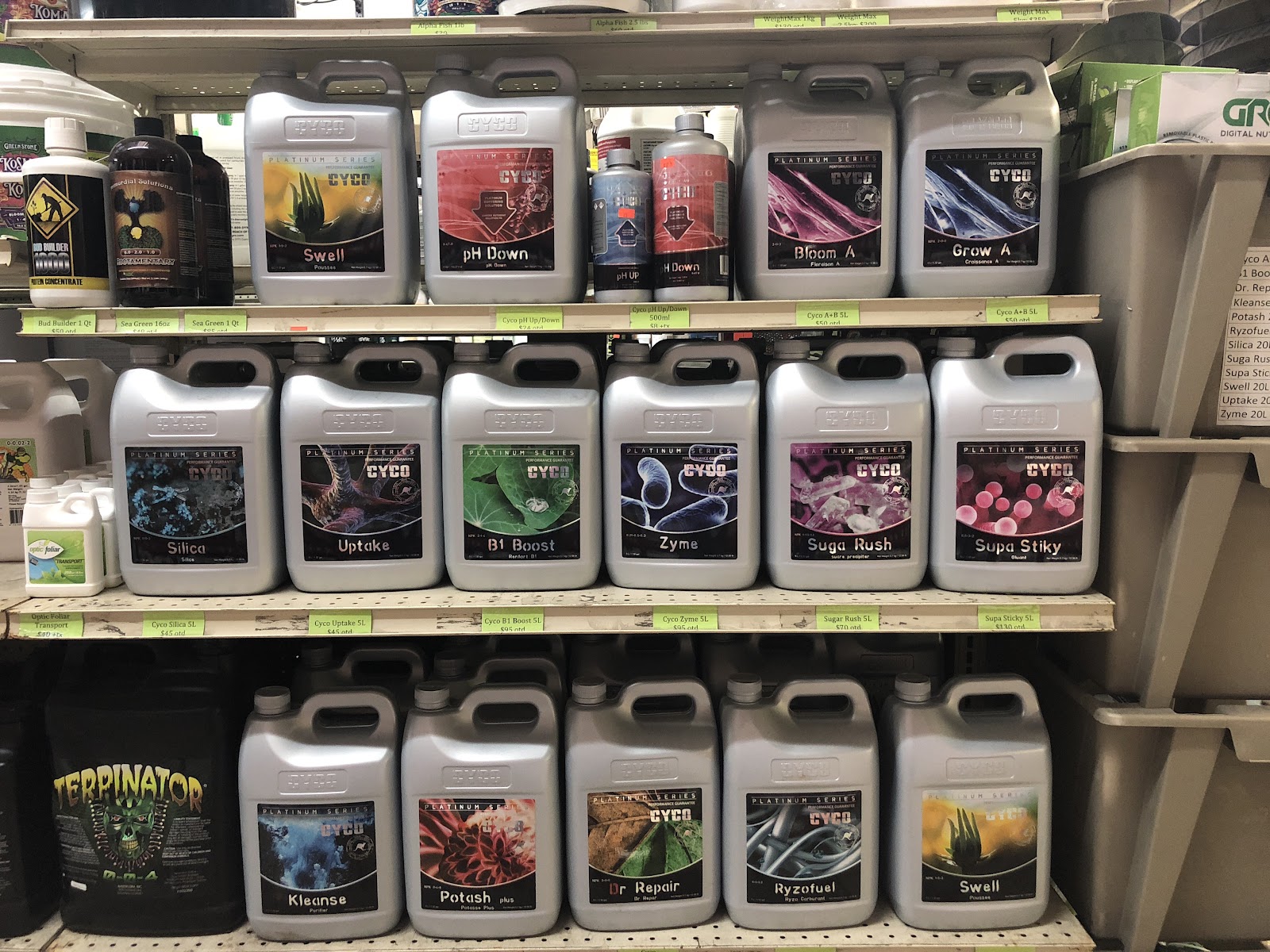 Rose Girls Florist & Hydroponic Supplies