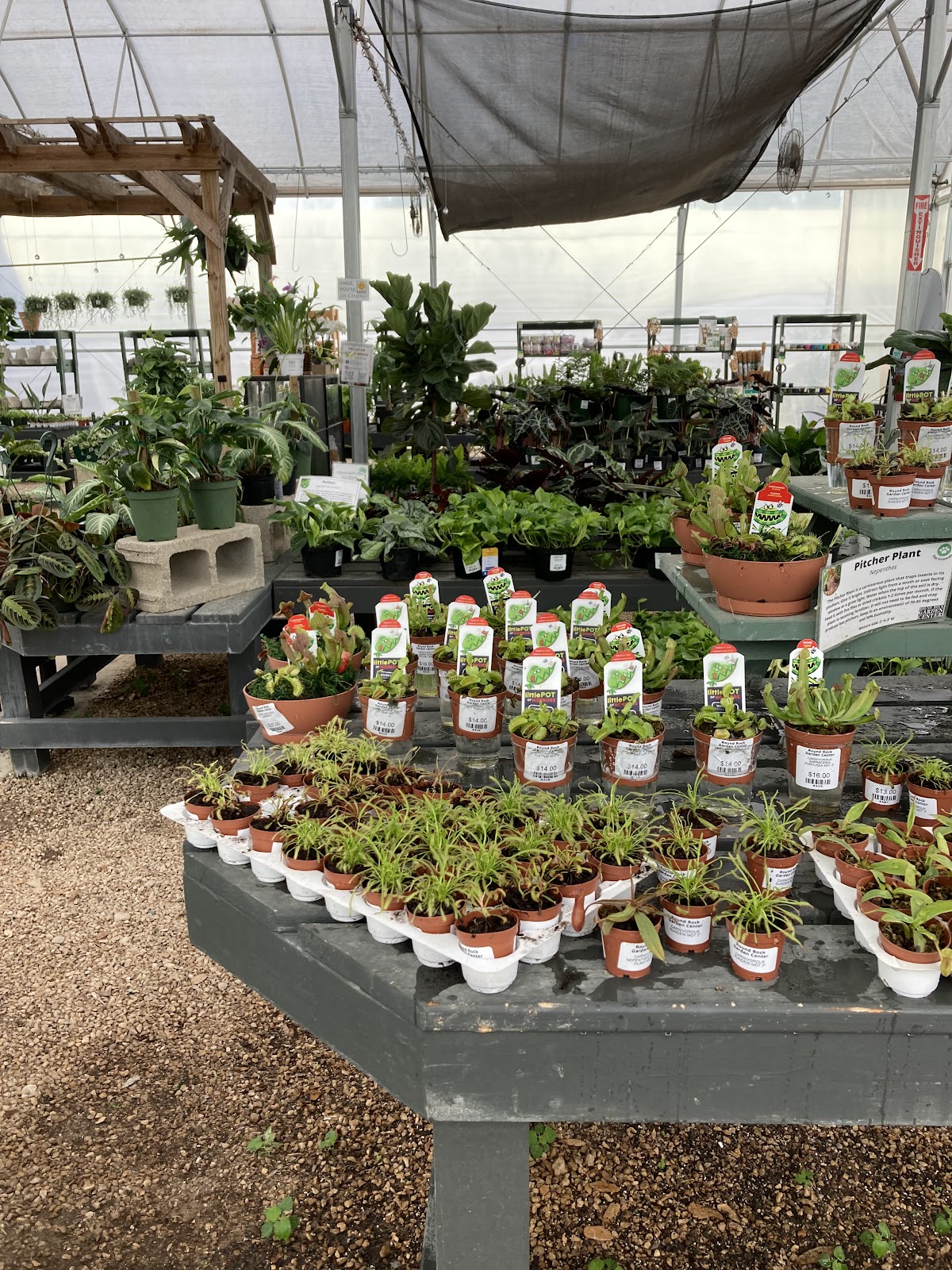 Round Rock Garden Center