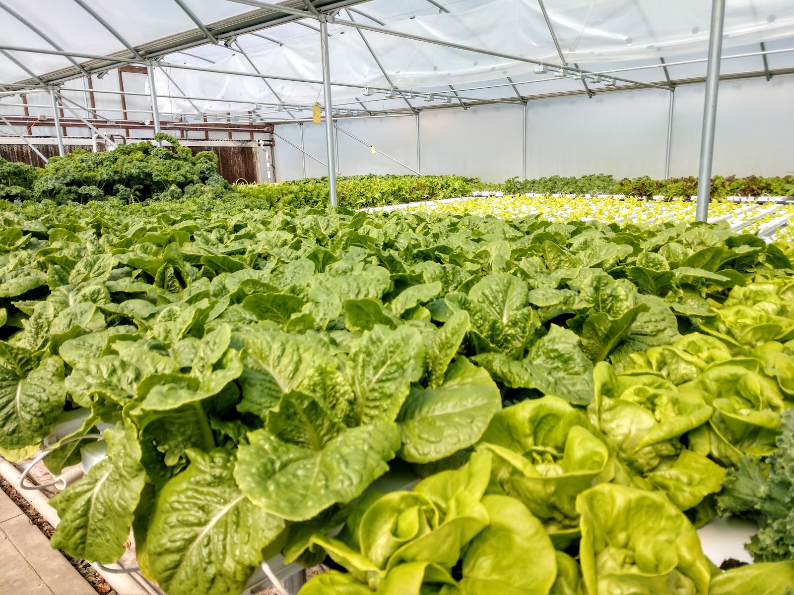 Rowlands Family Greenhouses & Landscaping