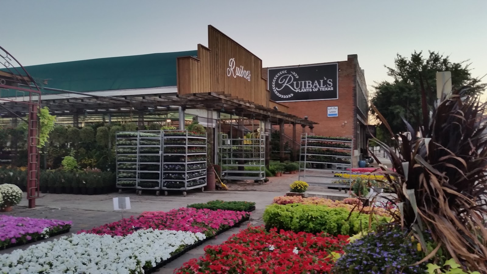 Ruibal's Plants of Texas