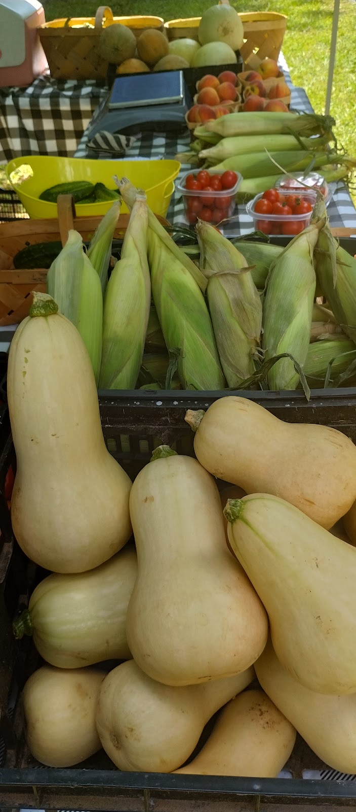 Rum Ridge Farm