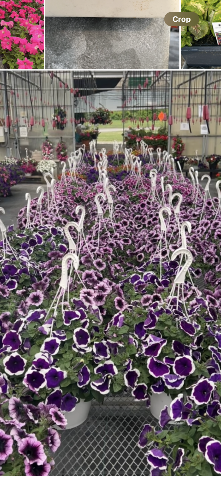 Rush Garden Center Greenhouse