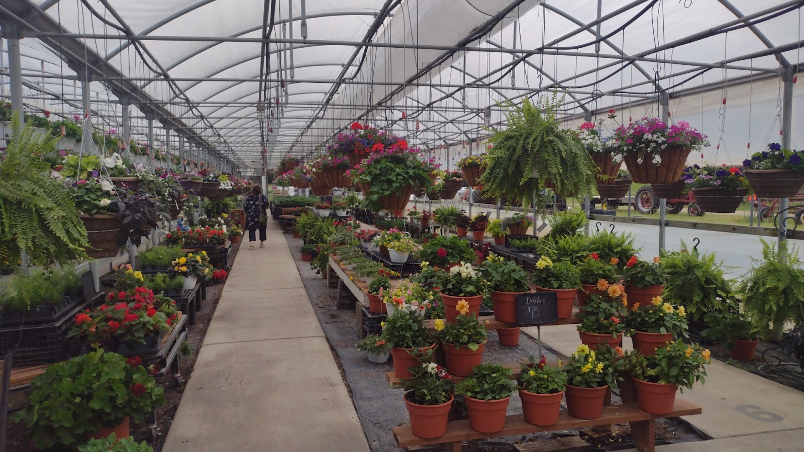 S&H Greenhouses
