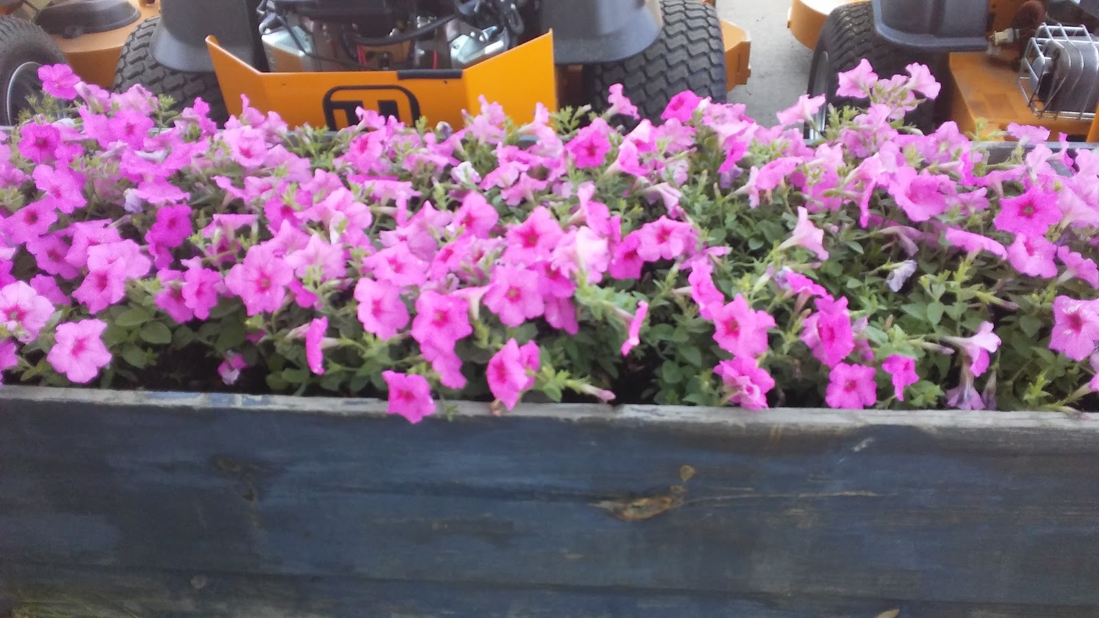 S & S Greenhouses Inc