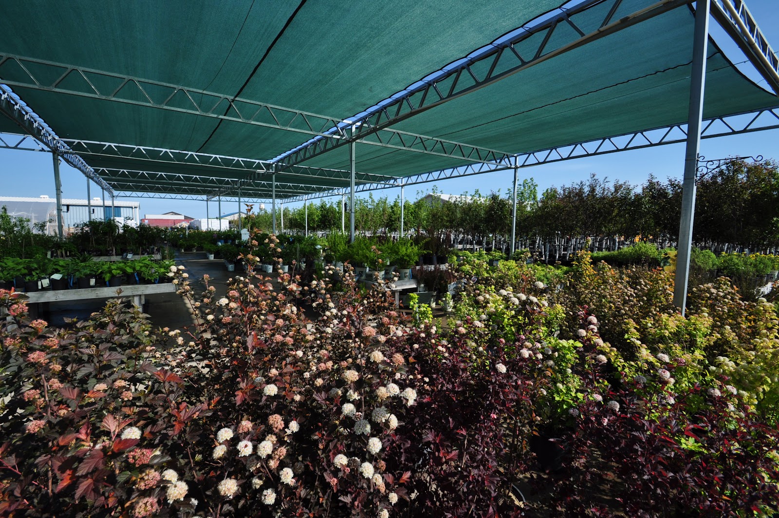 S & S Landscaping