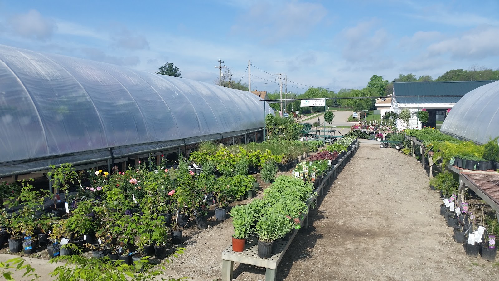Saenz Farm & Greenhouses