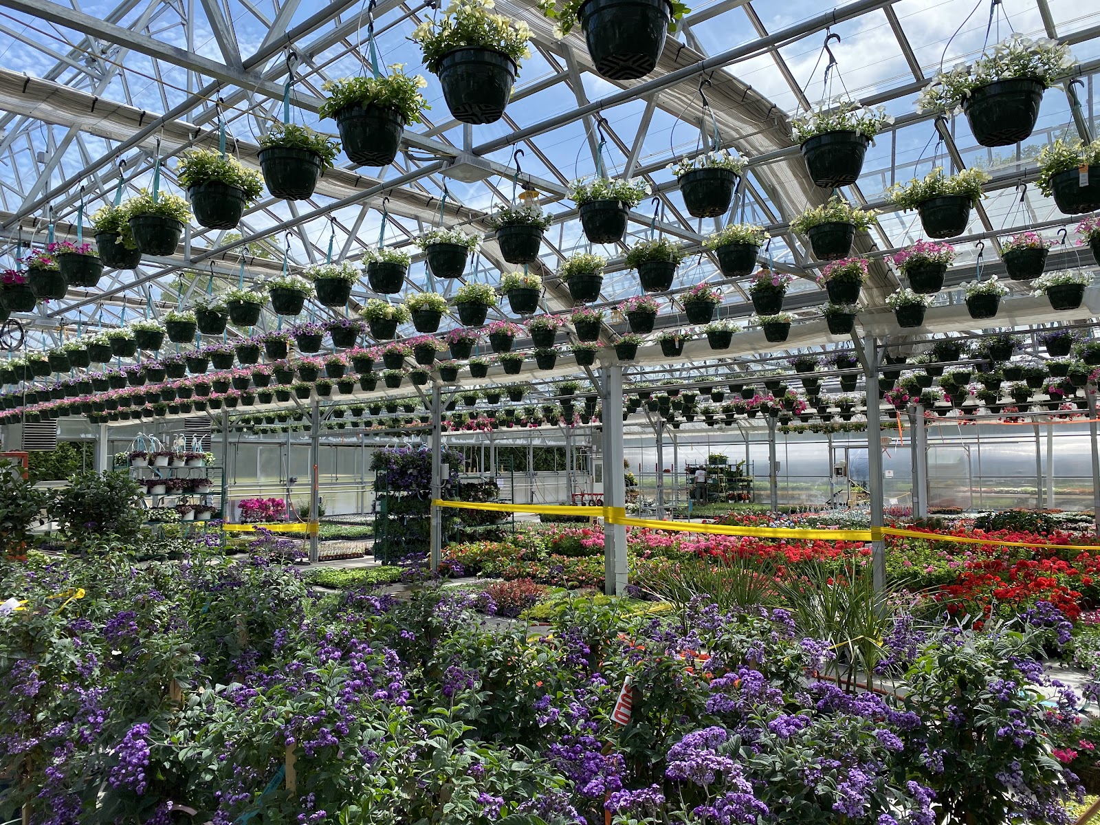 Sam Bridge Nursery & Greenhouses