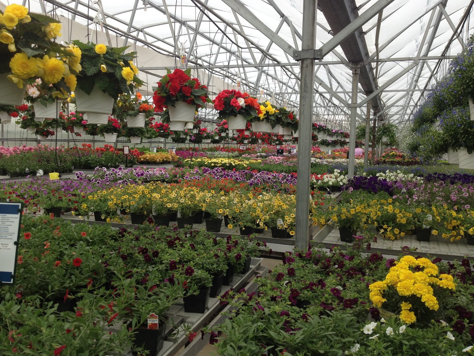 Sam Mazza's Farm Market