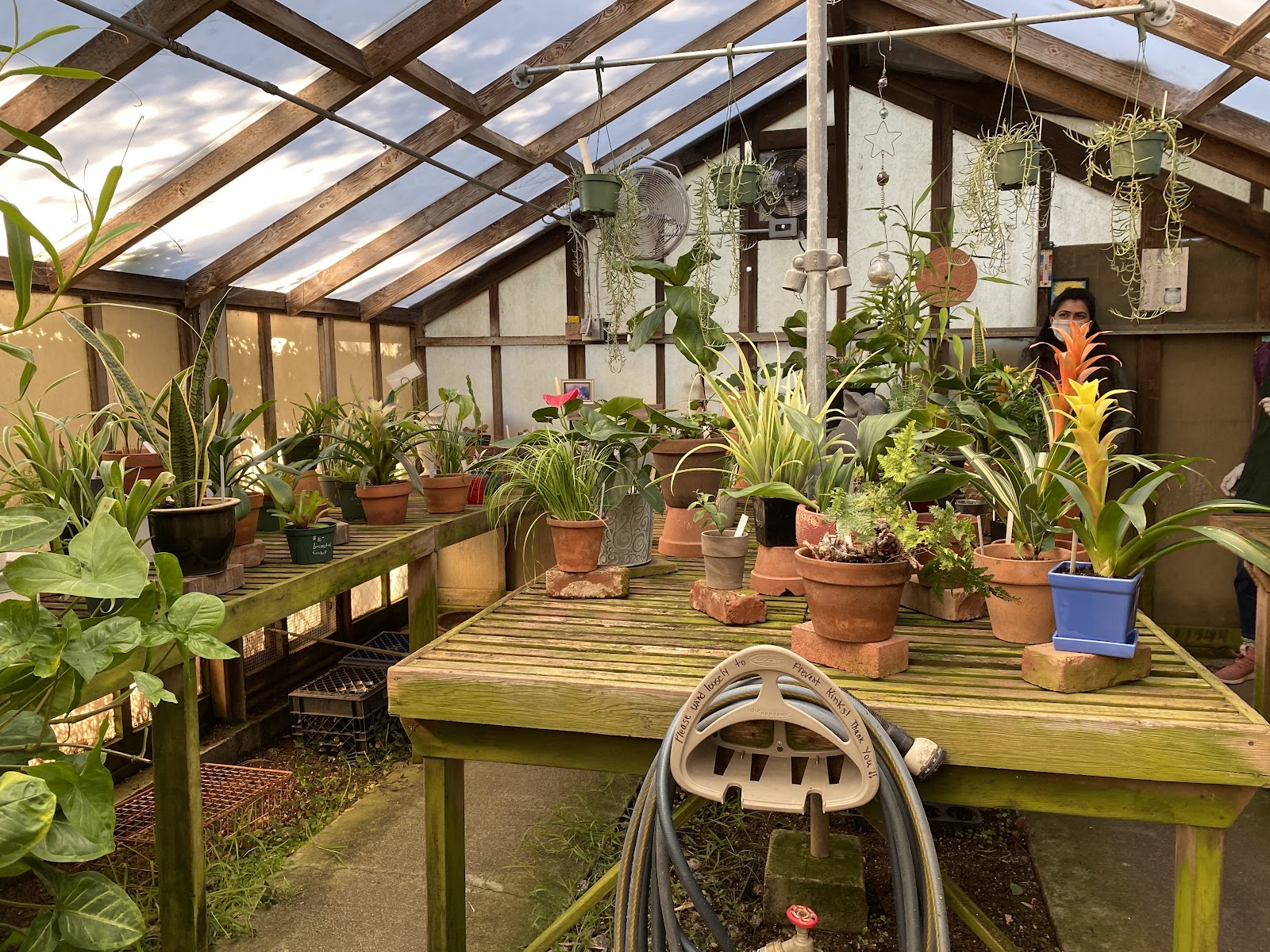 San Mateo Arboretum Society