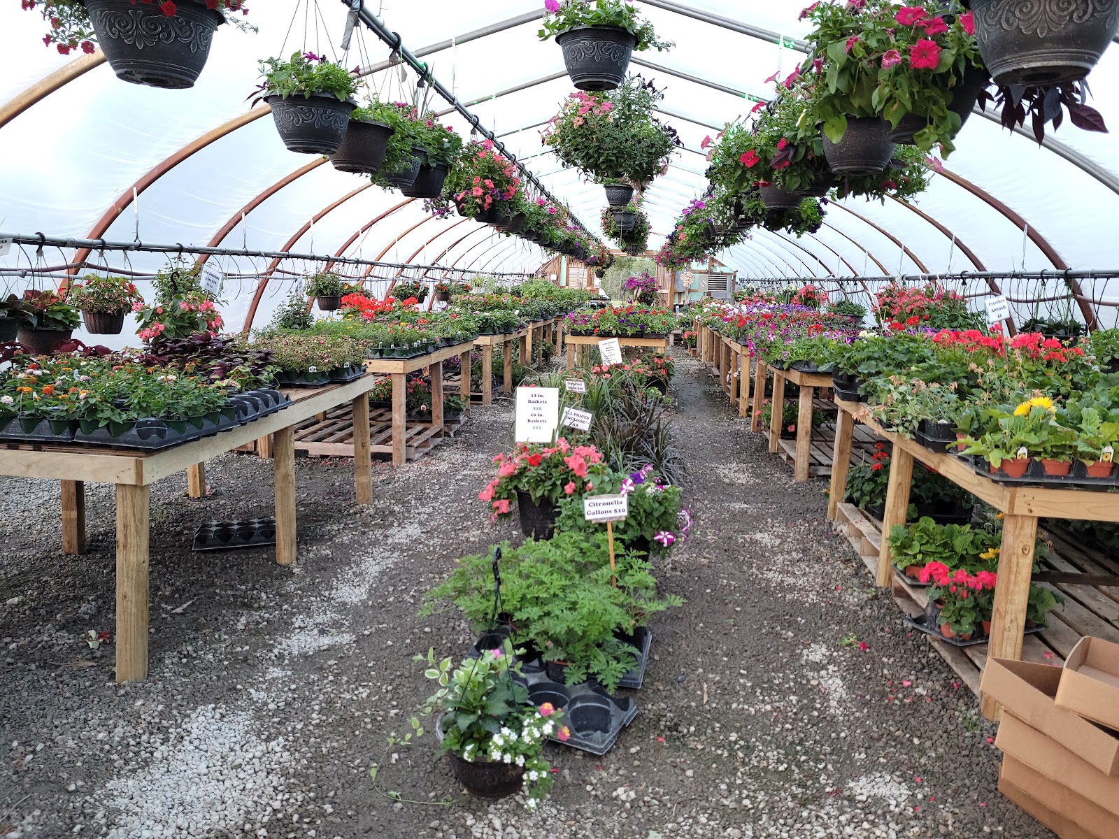 Schaller Greenhouse and Landscape