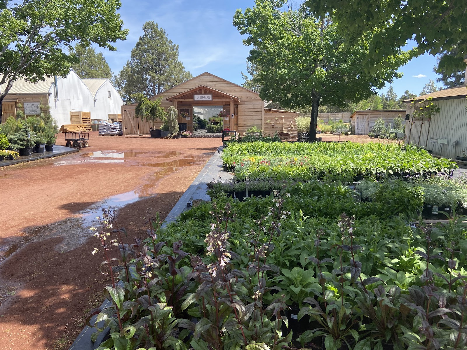 Schilling's Garden Market