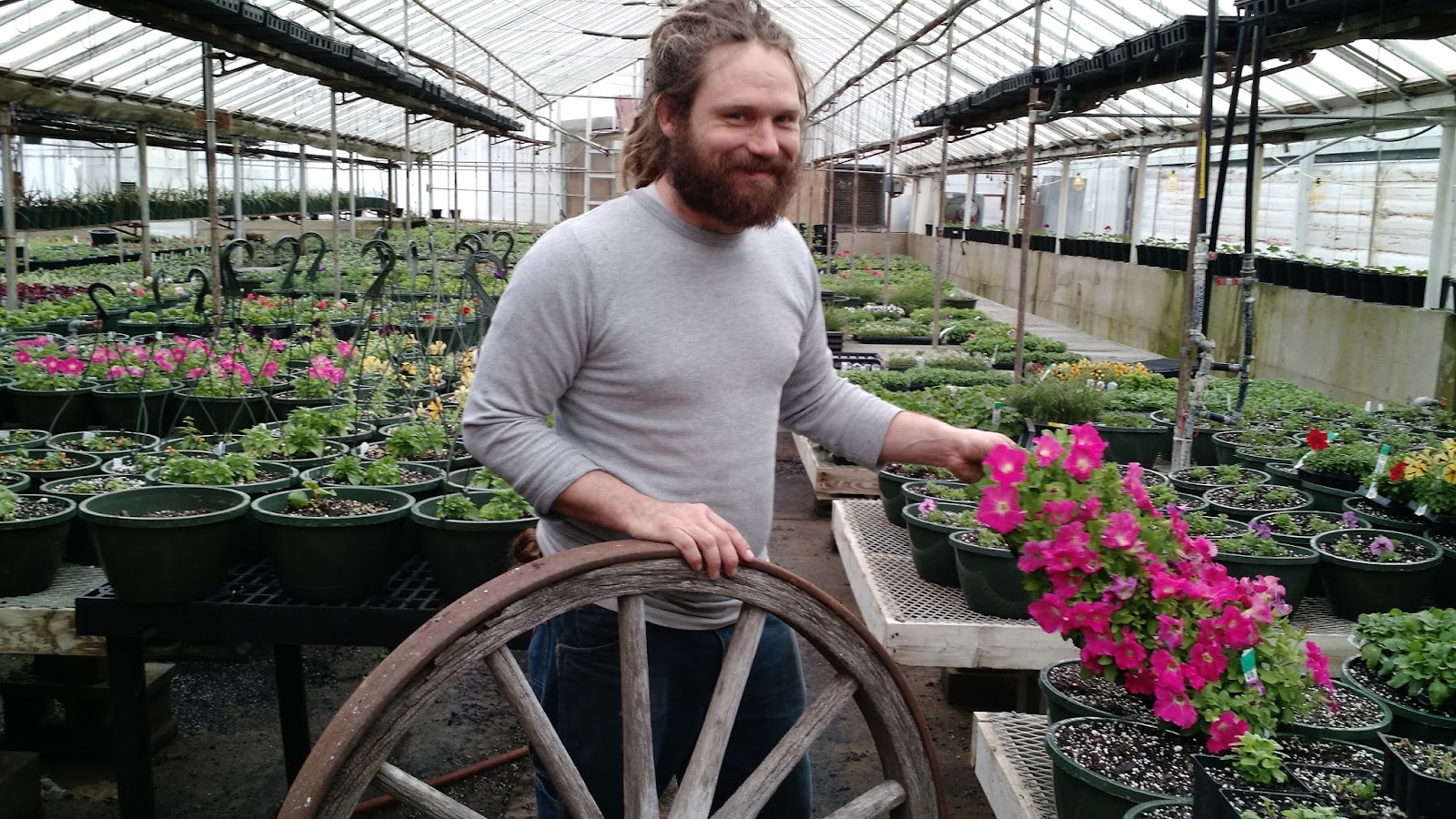 Schulte's Greenhouses