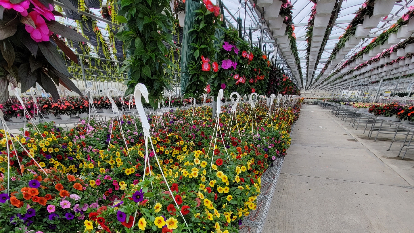 Schwartz's Greenhouse