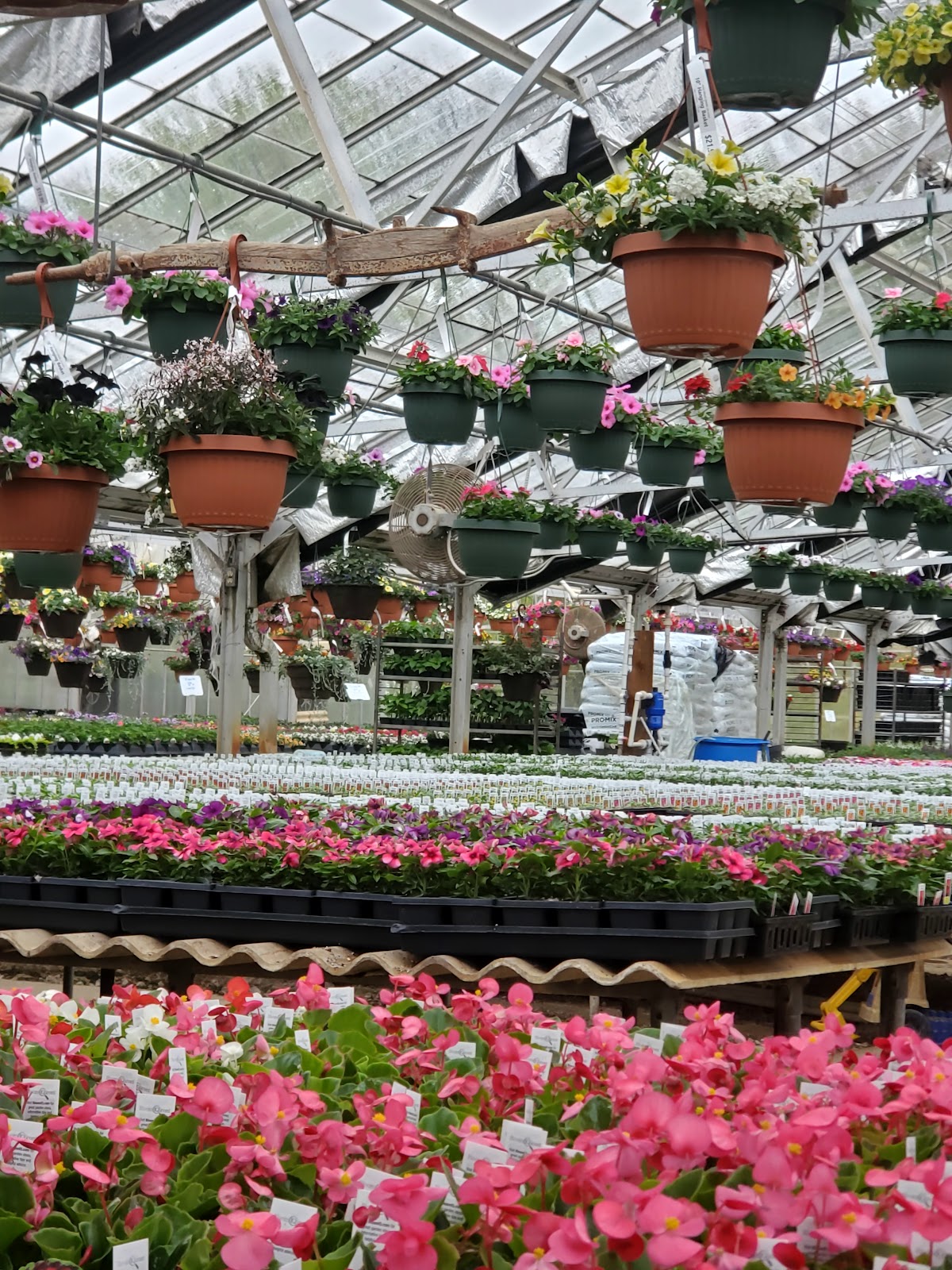 Scioto Blooms Greenhouse